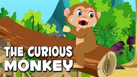 Monkey Magic: Unraveling the Mystery of Their Reactions